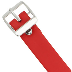 Coquette Collier Coquette avec Anneau Rouge